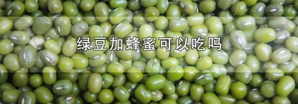 绿豆加蜂蜜可以吃吗