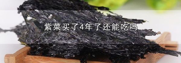 紫菜买了4年了还能吃吗