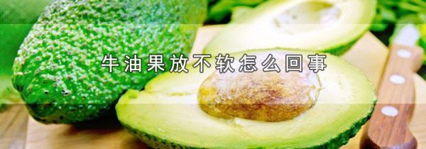 牛油果放不软怎么回事
