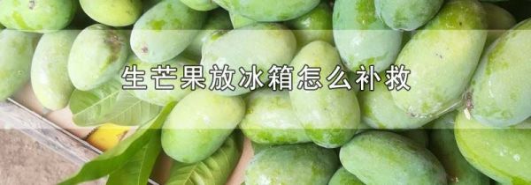 生芒果放冰箱怎么补救