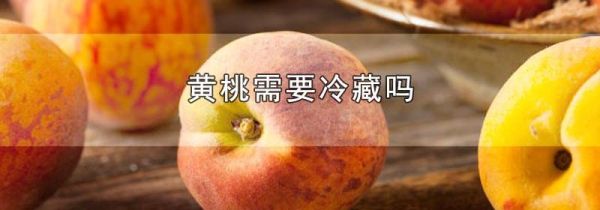 黄桃需要冷藏吗
