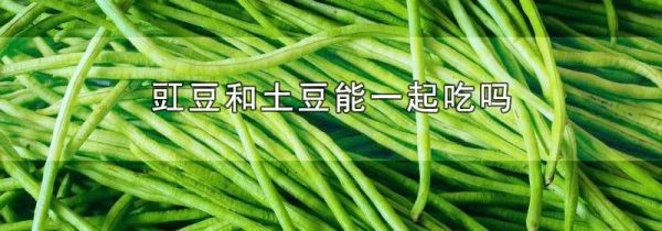 豇豆和土豆能一起吃吗