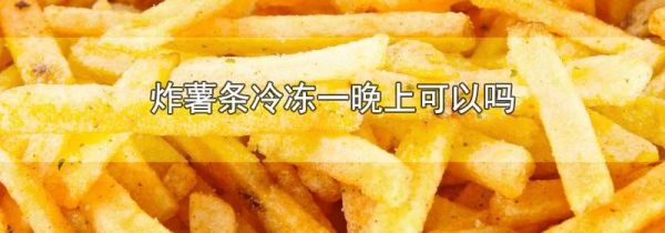 炸薯条冷冻一晚上可以吗
