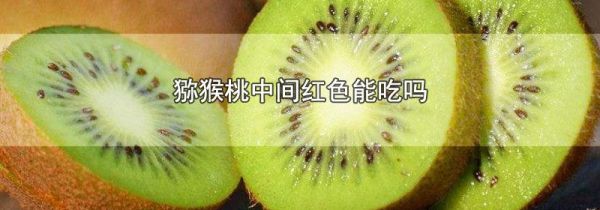 猕猴桃中间红色能吃吗
