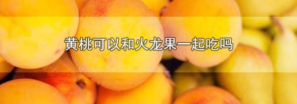 黄桃可以和火龙果一起吃吗