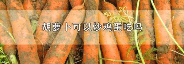 胡萝卜可以炒鸡蛋吃吗