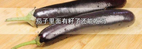 茄子里面有籽了还能吃吗