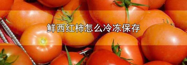 鲜西红柿怎么冷冻保存
