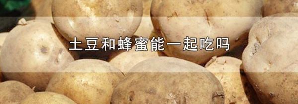 土豆和蜂蜜能一起吃吗