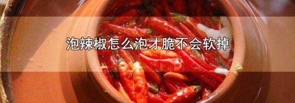 泡辣椒怎么泡才脆不会软掉