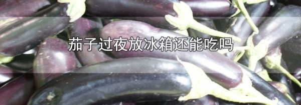 茄子过夜放冰箱还能吃吗
