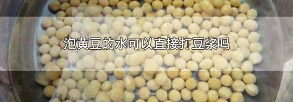 泡黄豆的水可以直接打豆浆吗