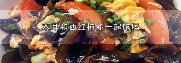 木耳和西红柿能一起吃吗