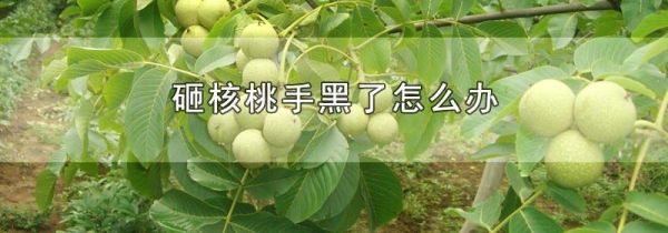 砸核桃手黑了怎么办