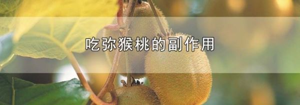 吃弥猴桃的副作用