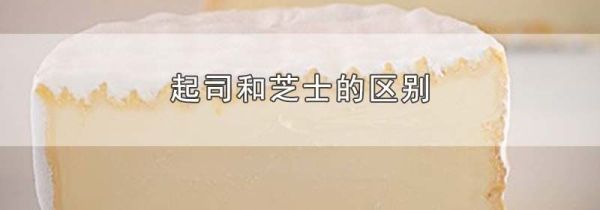 起司和芝士的区别