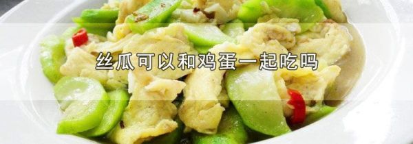 丝瓜可以和鸡蛋一起吃吗