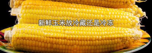 新鲜玉米放冷藏还是冷冻
