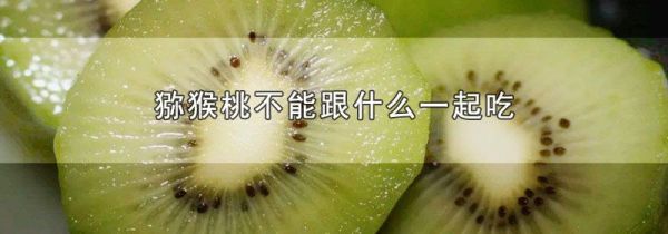 猕猴桃不能跟什么一起吃