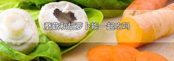 蘑菇和胡萝卜能一起吃吗