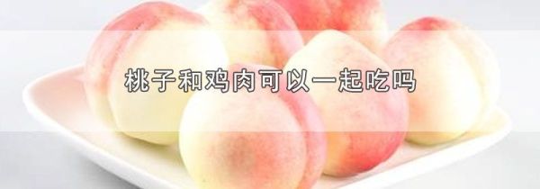 桃子和鸡肉可以一起吃吗
