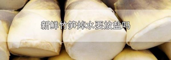 新鲜竹笋焯水要放盐吗