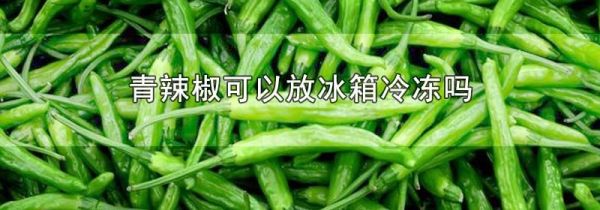 青辣椒可以放冰箱冷冻吗