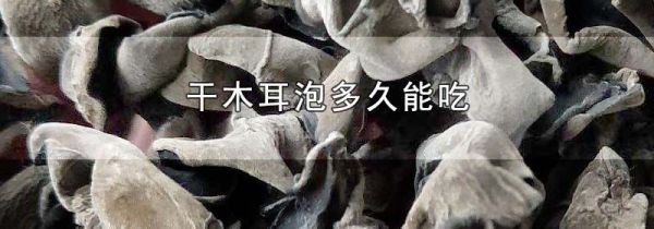 干木耳泡多久能吃
