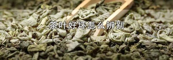 茶叶好坏怎么辨别