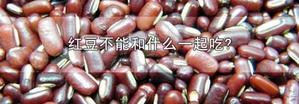红豆不能和什么一起吃?