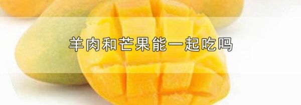 羊肉和芒果能一起吃吗