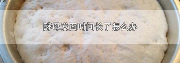酵母发面时间长了怎么办