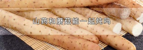 山药和蘑菇能一起炖吗