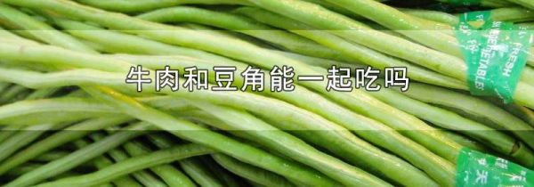 牛肉和豆角能一起吃吗