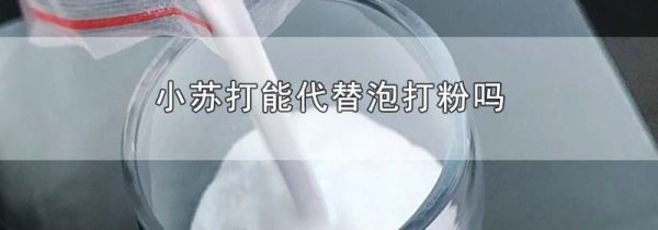 小苏打能代替泡打粉吗