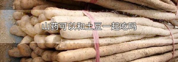 山药可以和土豆一起吃吗
