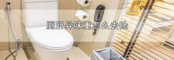 厕所异味重怎么去除