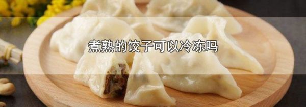 煮熟的饺子可以冷冻吗