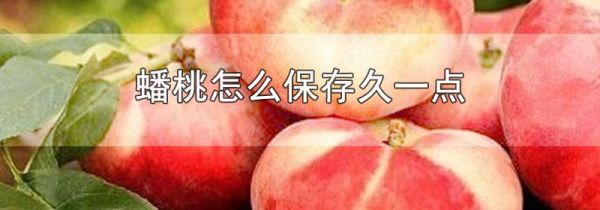 蟠桃怎么保存久一点
