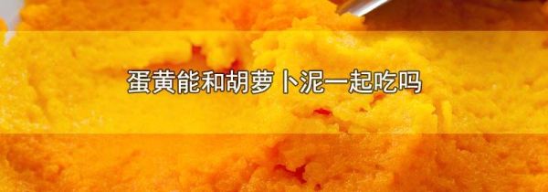 蛋黄能和胡萝卜泥一起吃吗