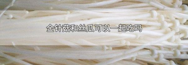 金针菇和丝瓜可以一起吃吗
