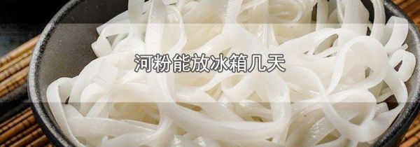 河粉能放冰箱几天