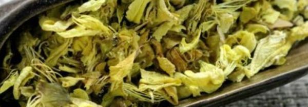 干槐花泡水能天天喝吗