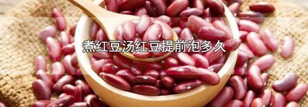 煮红豆汤红豆提前泡多久