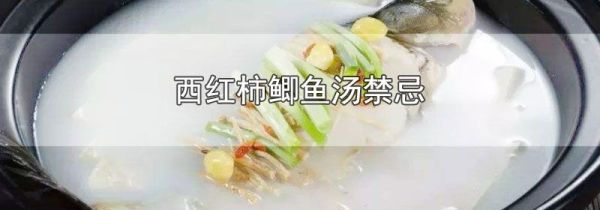 西红柿鲫鱼汤禁忌