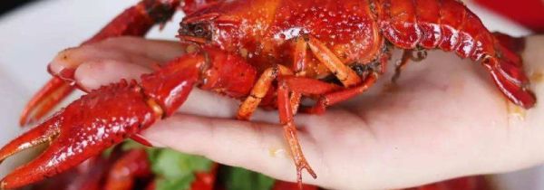 龙虾第二天加热一下还能吃吗?