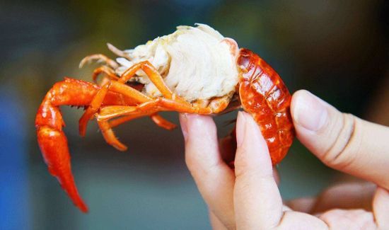 龙虾第二天加热一下还能吃吗?