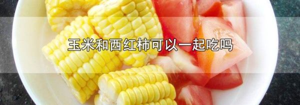 玉米和西红柿可以一起吃吗
