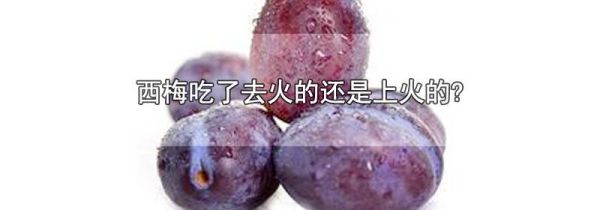 西梅吃了去火的还是上火的?