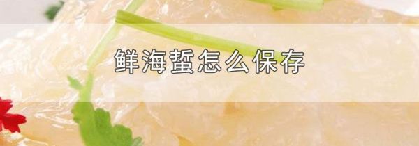 鲜海蜇怎么保存